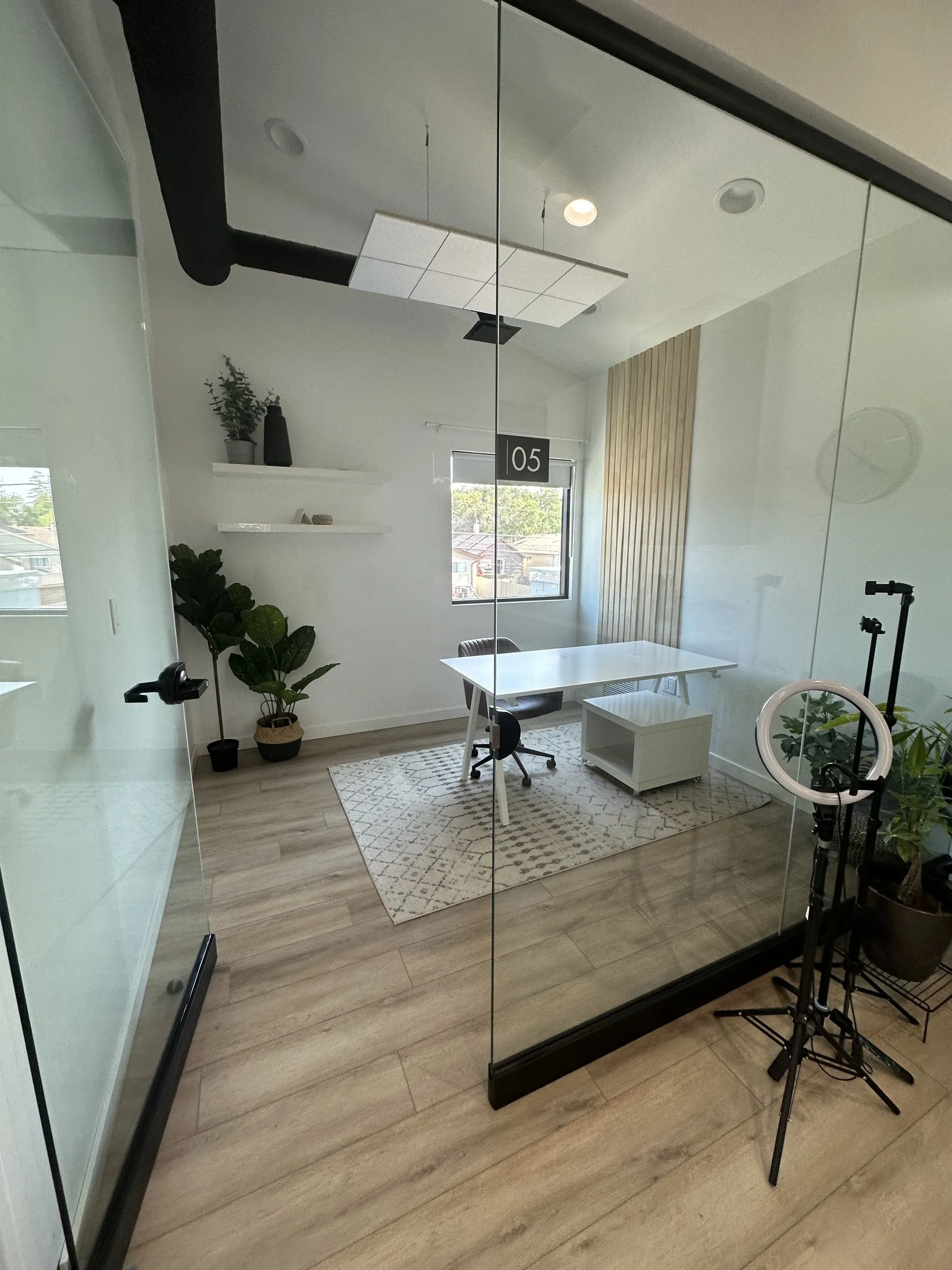 Office 5 through its glass wall, a white desk and a rug in a bright corner room